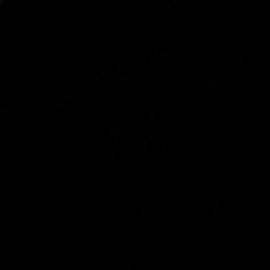 Meet your Posher, Hunter